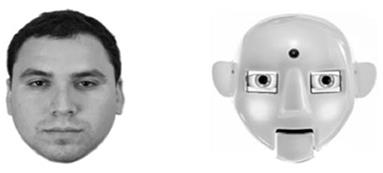 Robots engage face-processing less strongly than humans